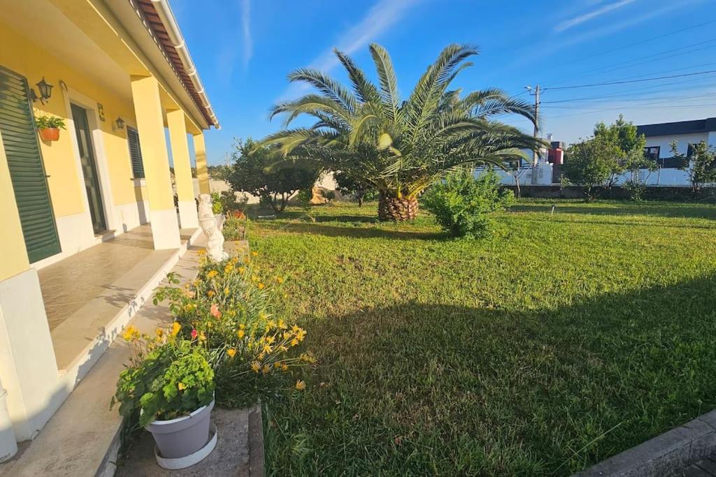 Quinta Marinhais Para Ferias No Ribatejo Esterno foto