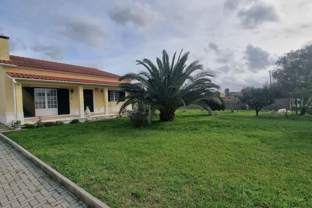 Quinta Marinhais Para Ferias No Ribatejo Esterno foto