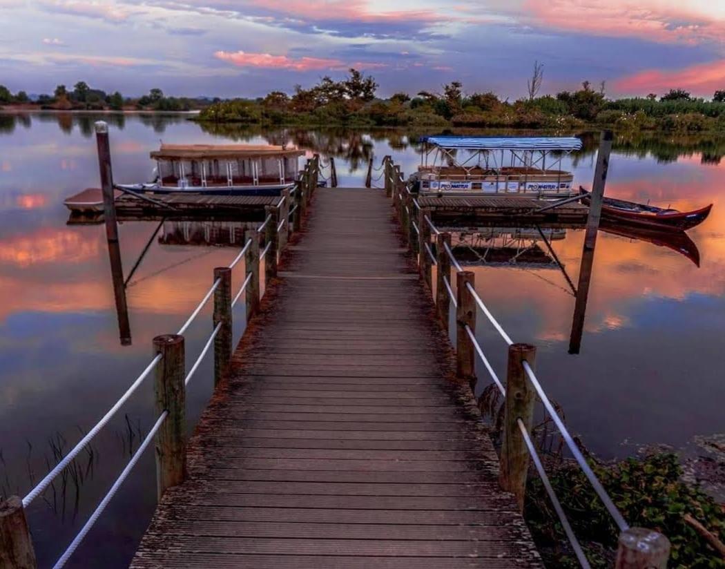 Quinta Marinhais Para Ferias No Ribatejo Esterno foto