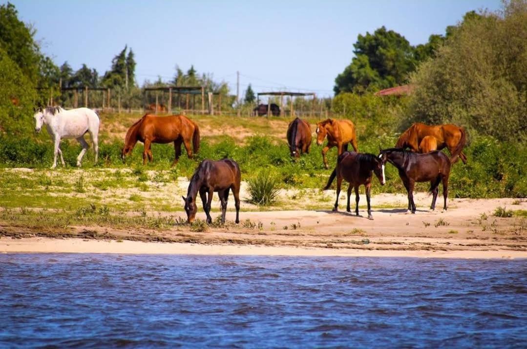 Quinta Marinhais Para Ferias No Ribatejo Esterno foto